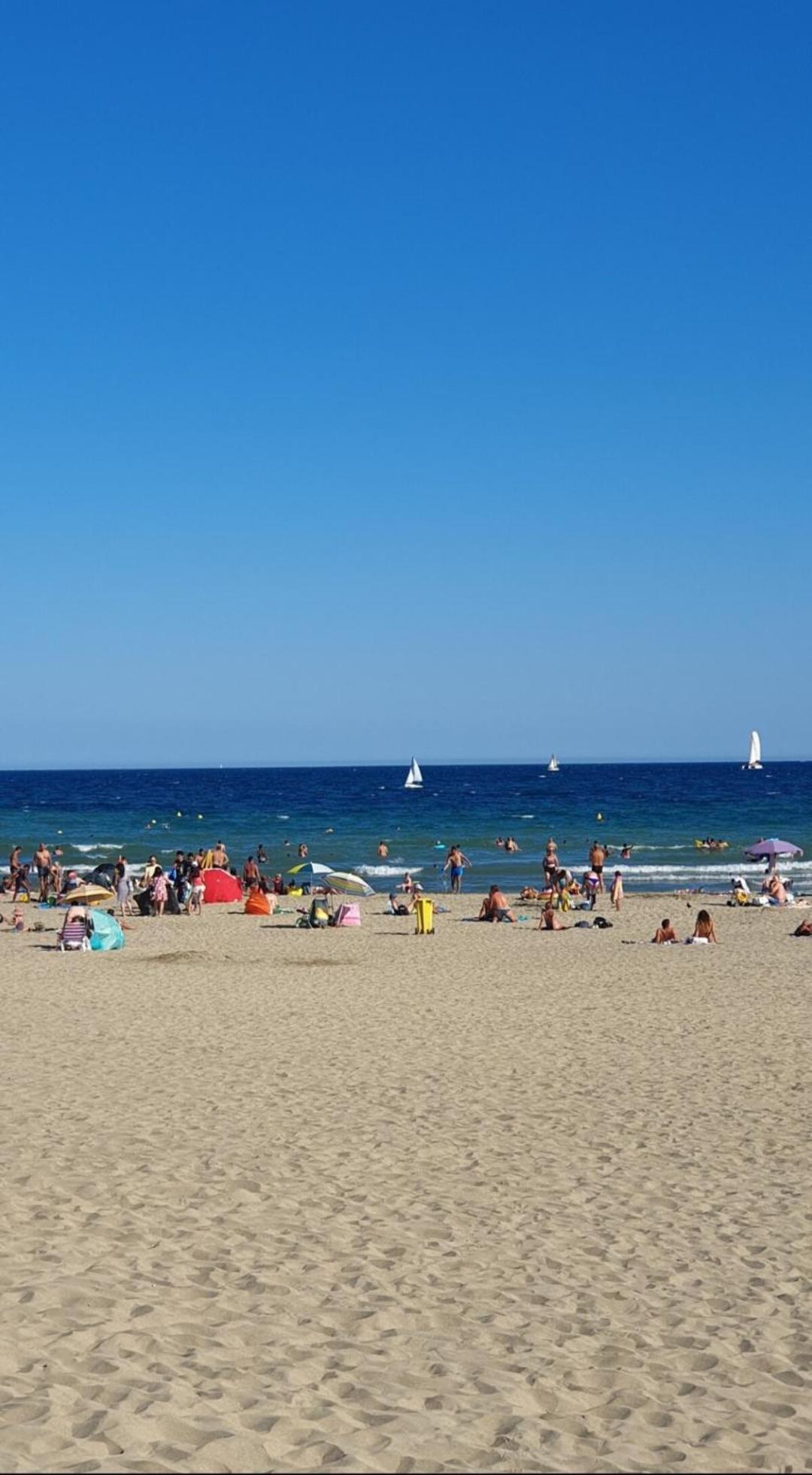 Appartement Cosy Le Phoebus Canet-en-Roussillon Dış mekan fotoğraf